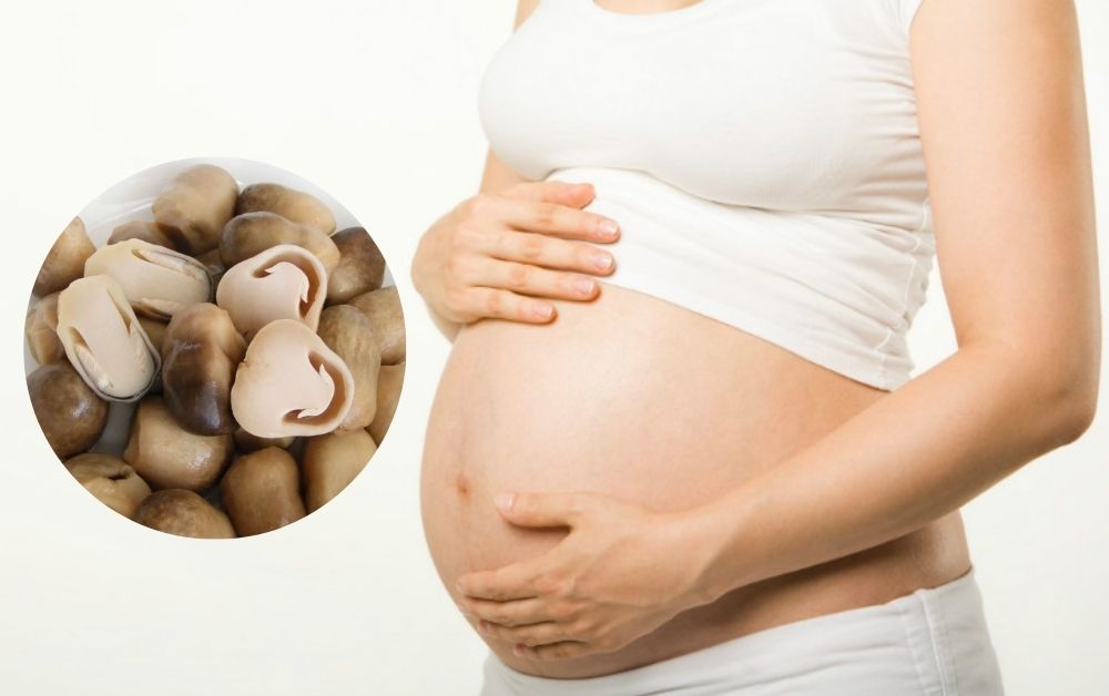 Phụ nữ mang thai có nên ăn nấm không?